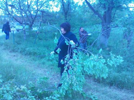 субботник предпринимателей